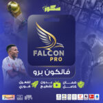 اشتراك فالكون جهازين سنة - ضمان ذهبي